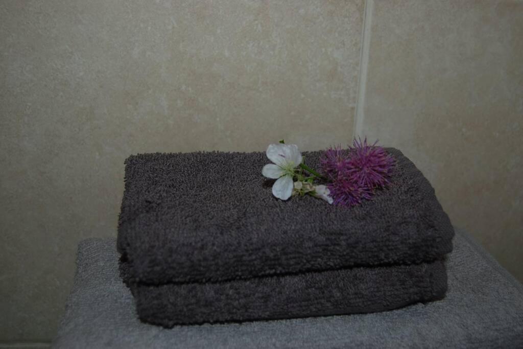 Creag Mhor Self Catering Holiday Apartment Aberfoyle  Εξωτερικό φωτογραφία