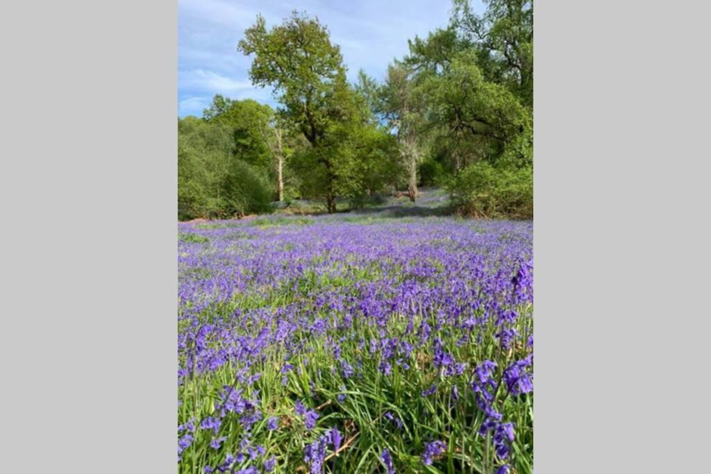 Creag Mhor Self Catering Holiday Apartment Aberfoyle  Εξωτερικό φωτογραφία